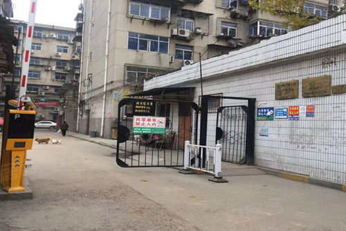 西安玻璃制品廠家屬院深度解析 優點、不足與周邊市場觀察